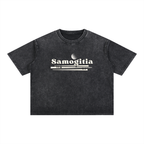 Samogitia Washed Heritage T-Shirt