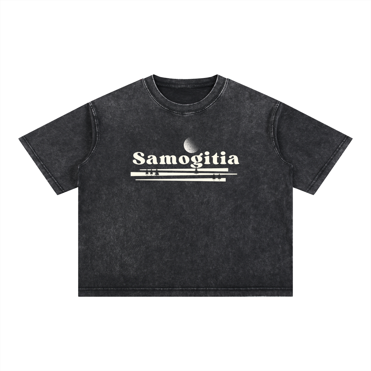 Samogitia Washed Heritage T-Shirt