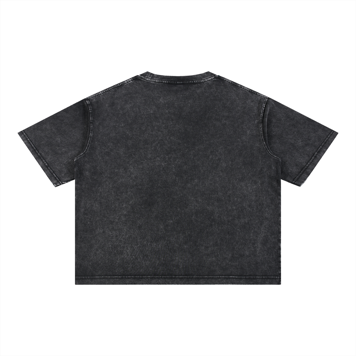 Samogitia Washed Heritage T-Shirt