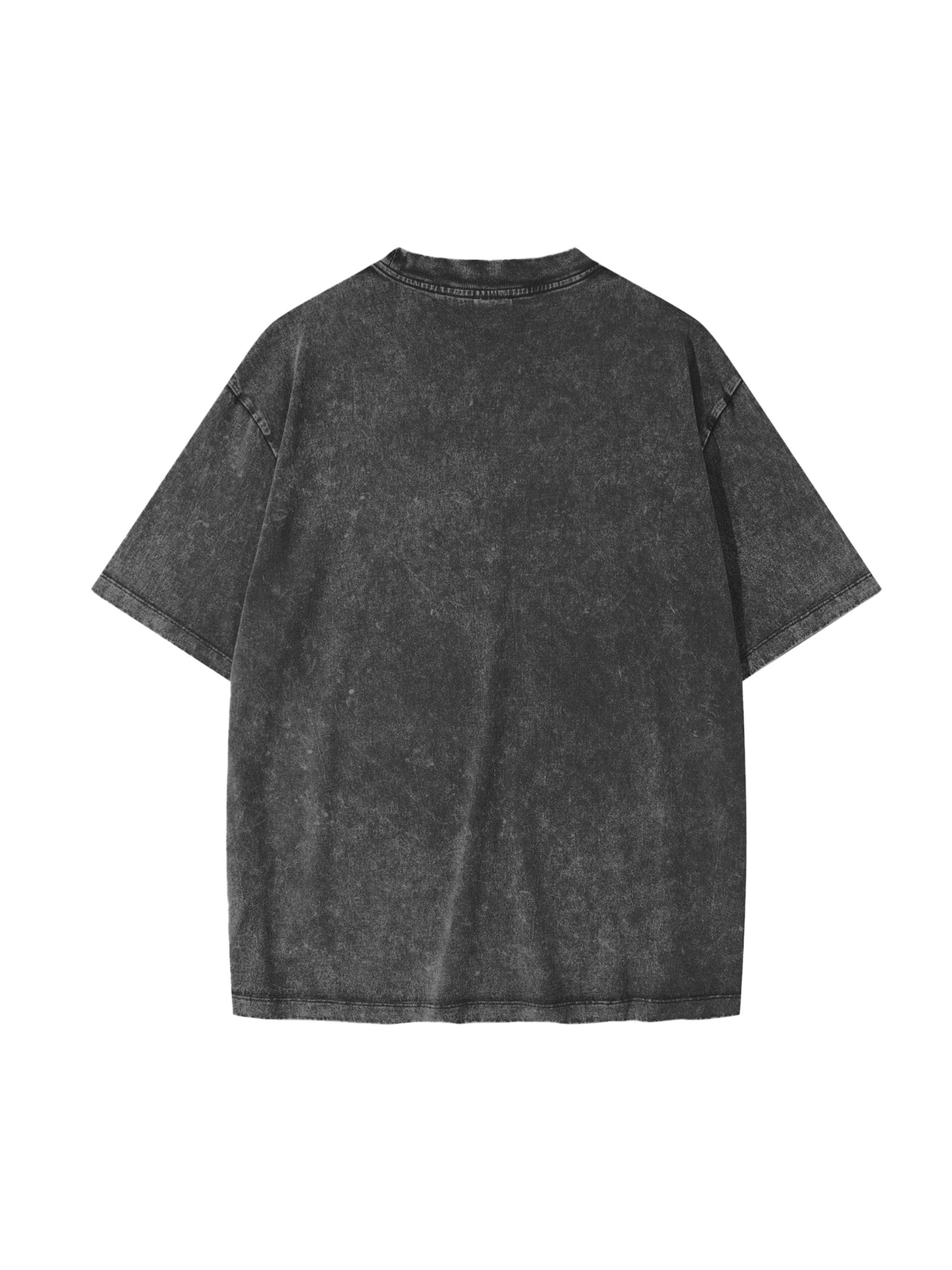 "vienas pats" Snow Washed T-Shirt